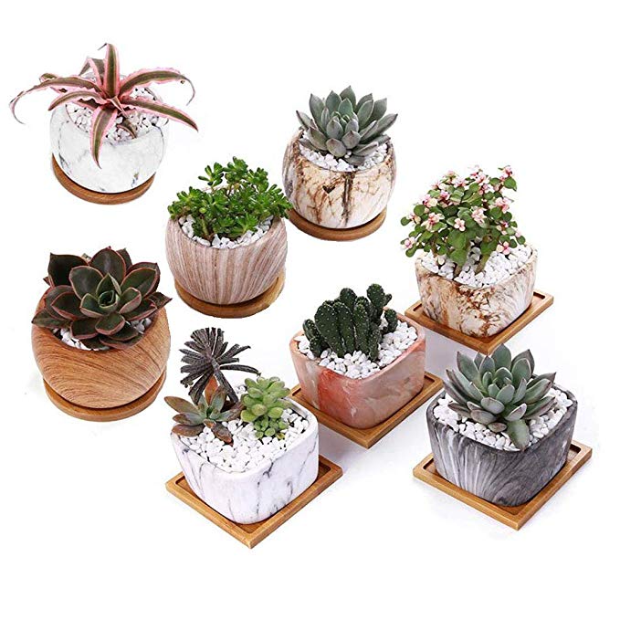 Mecai 3.5 Inch Modern Succulent Planter Pots Marble Ceramic Serial/Flower Pot with Bamboo Tray for Cactus Herb Or Small Plants/Set of 8