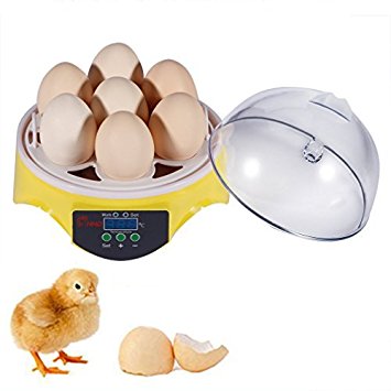 Egg Incubator,Digital Transparent Home Mini Hatching 7 Egg Capacity Incubator Egg Hatcher for Goose Birds Chicken Duck