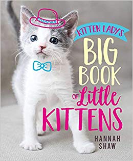 Kitten Lady's Big Book of Little Kittens