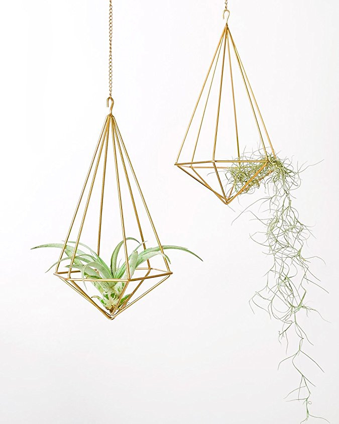 Mkono 2 Pcs Hanging Air Plant Holder Tillandsia Container Himmeli Wall Decor(with Chains), Gold