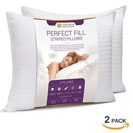 Premium Quality Stripe Pillow for Sleeping - Perfect Bedding Solution for Side & Back Sleepers. Extra Neck, Shoulder & Head Support. Premium Quality Microfiber Filling - Standard Size (2-Pack)