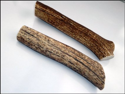 JimHodgesDogTraining - Grade A Premium Elk Antler Dog Chew - Large Whole 2-Pack (6.5-12 inches) - Great For Medium to Large Dogs and Puppies - Made in USA - Long Lasting, Healthy, Organic, Odor Free