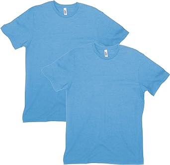 American Apparel Unisex-Adult CVC T-Shirt, Style G2001cvc, 2-Pack