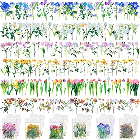 240 Pieces Cute Transparent Flower Stickers Set PET Decorative Waterproof Stickers Assorted Flower DIY Stickers for Scrapbooking, Journal, Album, Phone Case, Laptop, Card Making (Flower)