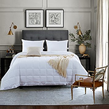 NEWLAKE Lightweight White Down Alternative Quilted Comforter Medium Warmth Duvet,Full/Queen Size