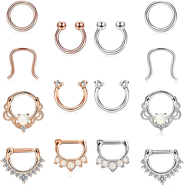 FUNRUN JEWELRY 14PCS 16G Stainless Steel Septum Ring Nose Rings Hoop Clicker Piercing Tragus Cartilage Retainer Body Piercing Jewelry