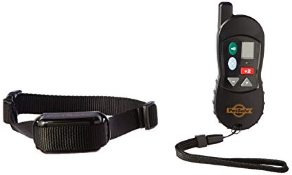 PetSafe Vibration Dog Training Collar with Remote
