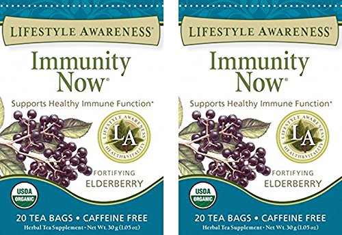 Lifestyle Awareness, Immunity Now with Fortifying Elderberry, Caffeine Free, Organic, 20 Count / 2 Pack