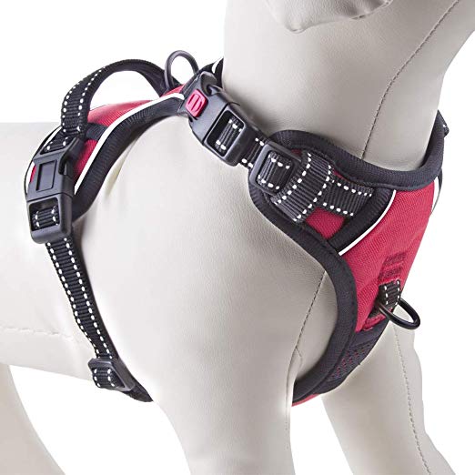 PHOEPET No Pull Dog Harness Reflective Adjustable Vest with a Training Handle, Name ID Pocket, 2 Metal Leash Hooks, 3 Snap Buckles [Easy to Put on & Take Off]