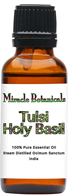 Miracle Botanicals Tulsi Holy Basil Essential Oil - 100% Pure Ocimum Sanctum - Therapeutic Grade - 30ml