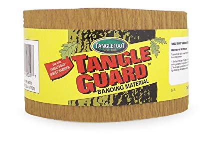 Tanglefoot Tangle-Guard Tree Wrap