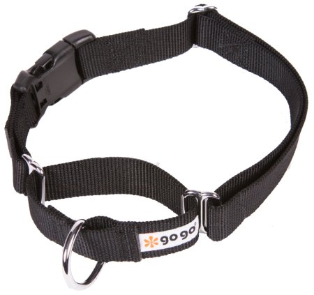 GoGo Martingale Dog Collar with Buckle