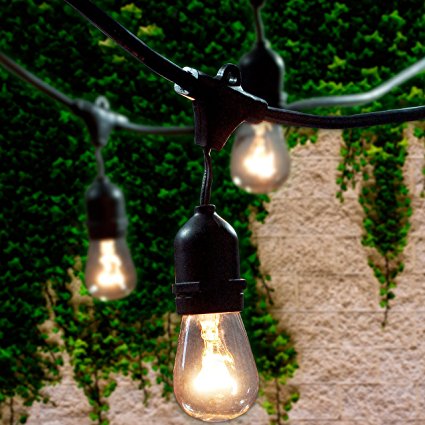 Lemontec Commercial Grade Outdoor String Lights with 15 Hanging Sockets - 48 Ft black weatherproof cord Weatherproof Strand for Patio Garden Porch Backyard Party Deck Yard – S14 Black