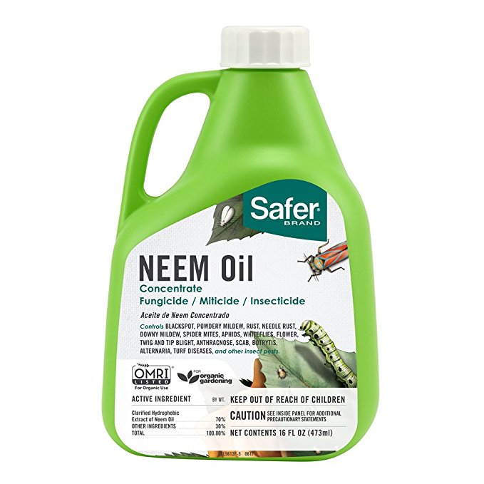 Safer Brand Neem Oil Concentrate, Green