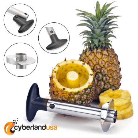 LIFETIME GUARANTEE Stainless Steel Cutting Blade Pineapple Easy Peeler Slicer and De-Corer - 3 in 1 Tool
