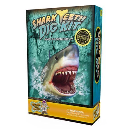 Shark Tooth Dig Kit - Dig Up 3 Real Shark Teeth Fossils!