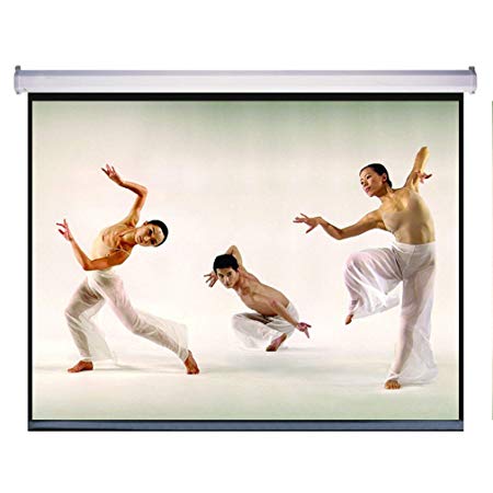 Manual Screen Projector Screen Projection 16:9 Pull Down HD Movie Screen Home Theater 119-Inch