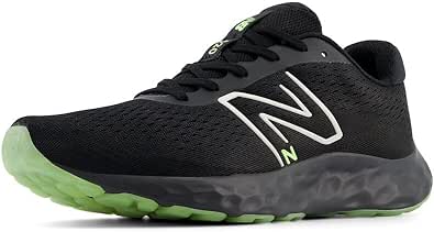 New Balance Men's 520 V8 Running Shoe