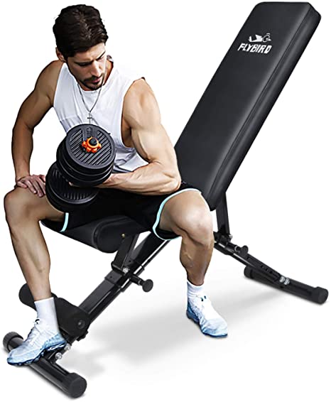 FLYBIRD Adjustable Weight Bench, Utility Gym Bench for Full Body Workout, Multi-Purpose Foldable Incline Decline Benchs - 2019 Version