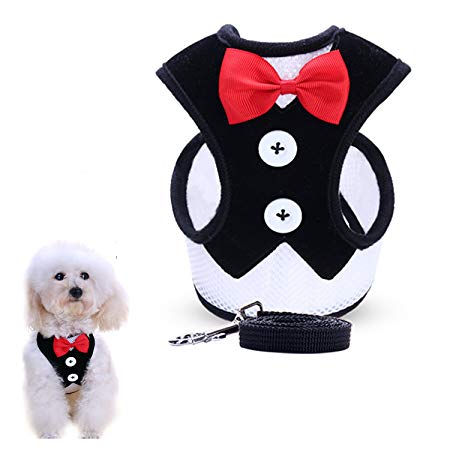 uFashion3C Dog Harness and Leash Set with Fancy Dress Bow Tie and Black Vest for Puppies and Smaller Dogs