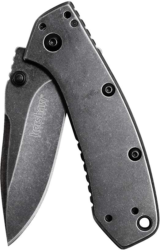 Kershaw Cryo Pocket Knife, EDC Knife with Speedsafe Assisted Opening, 2.75 Inch Steel Blade, Multiple Styles