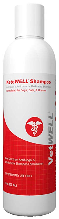 KetoWELL Ketoconazole & Chlorhexidine Shampoo Dogs & Cats - Antifungal, Antibacterial & Antiseptic Medicated Dog Shampoo Hot Spots, Ringworm, Yeast, Fungal Infections, Acne & Pyoderma