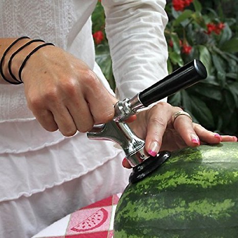 KegWorks Deluxe Watermelon Tap Kit