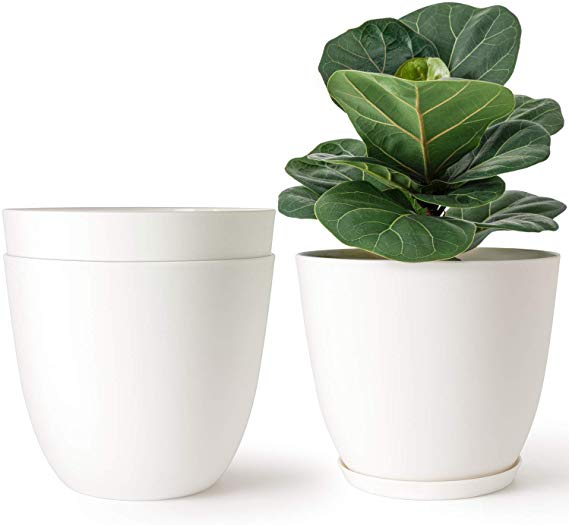 Mkono 7.5 Inch Plastic Planters Indoor Set of 3 Flower Plant Pots Modern Decorative Garden Amaryllis Pot with Drainage and Tray for All House Plants, Herb, Foliage Plant, and Seed Nursery, Cream White