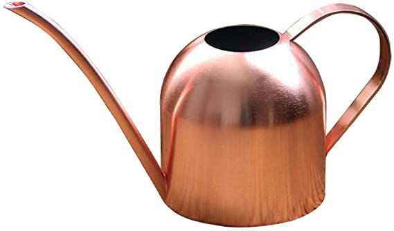 Fasmov 17 oz Stainless Steel Water Can Watering Can for Outdoor Indoor Plants, Copper