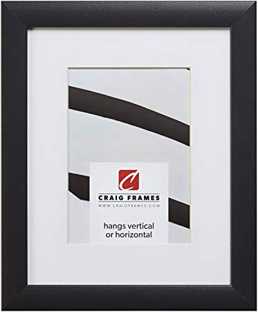 Craig Frames 1WB3BK 24 x 36 Inch Black Picture Frame Matted to Display a 20 x 30 Inch Photo