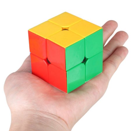D-FantiX Qiyi 2x2 Black Mamba Speed Cube Puzzle Magic Cube 2x2x2 Stickerless