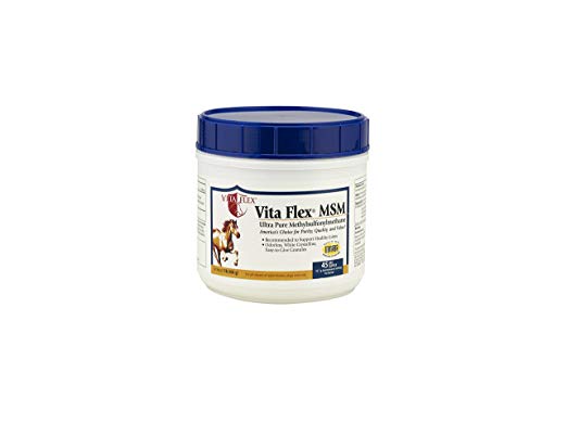Vita Flex MSM Ultra Pure, Horse Joint Supplement