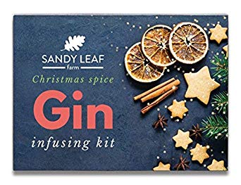 Christmas Spice Gin Infusing Kit - Make Your own Ginger Bread and Festive Spiced Gin in just 24 Hours
