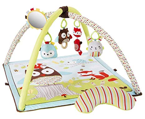 Skip Hop Baby Activity Gym - Woodland Friends