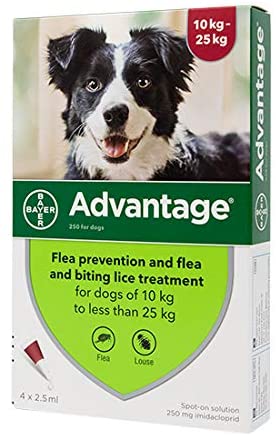 Advantage Spot On Flea Treatment 250 Large Dogs 10-25kg, 4 pipettes