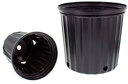 Elite 2.5 Gallon (Trade) Nursery Container Pot - 50/Bundle