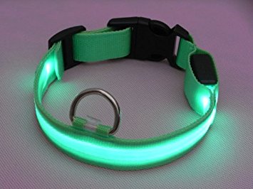 LED Flashing Lights Dog Collar Nylon (Green, Small)