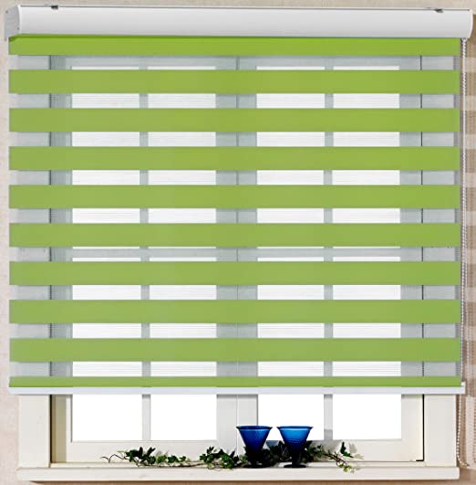 Foiresoft Custom Cut to Size, [Winsharp Basic, Green, W 49 x H 64 inch] Zebra Roller Blinds, Dual Layer Shades, Sheer or Privacy Light Control, Day and Night Window Drapes, 20 to 110 inch Wide