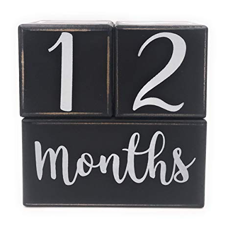 Baby Milestone Blocks, Baby Monthly Milestone Blocks, Baby Age Months Wood Photo Props, Wooden Number Month Block for Babies Pictures, Gender Neutral Boy or Girl Shower Gift, Infant Milestones
