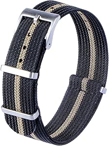 Carty Military Watch Straps with Silver Heavy Buckle,Sport Nylon Watch Bands for Men 18mm 20mm 22mm