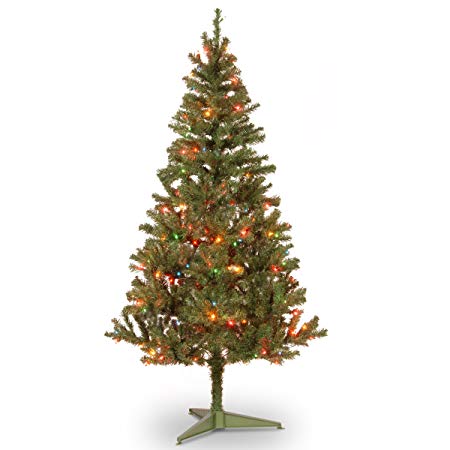 National Tree 6 Foot Canadian Grande Fir Wrapped Tree with 200 Multicolor Lights (CFG7-303-60)