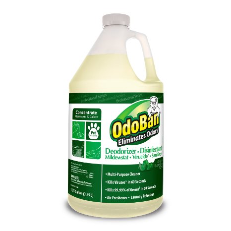 OdoBan 11062-G Disinfectant Odor Eliminator and All Purpose Cleaner Concentrate 128 oz. Eucalyptus Scent