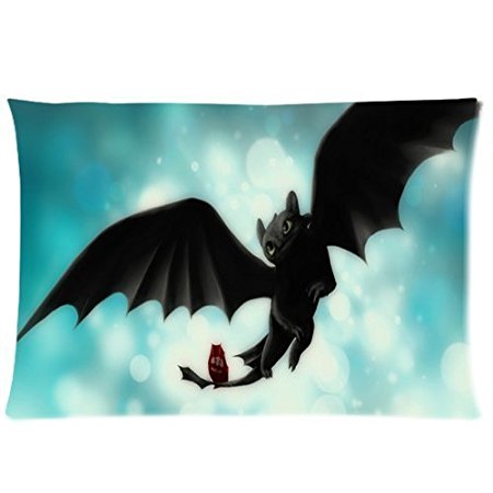1 X How To Train Your Dragon Custom Zippered Pillow Cases 20x26 (Two sides)