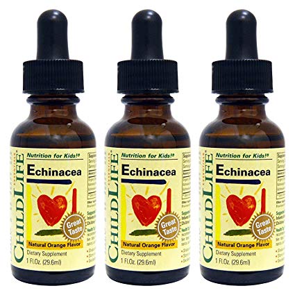 Child Life Echinacea, Glass Bottle, 1-Ounce (3 Pack)