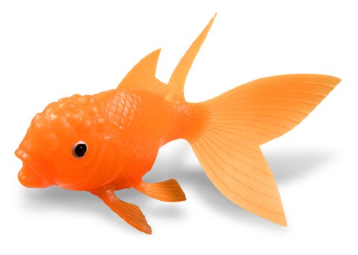 Fred and Friends KOI TOY Light-Up Bath Goldfish