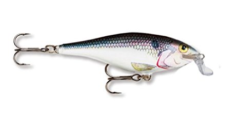 Rapala Shallow Shad Rap 07 Fishing Lures