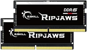 G.SKILL Ripjaws DDR5 SO-DIMM Series DDR5 RAM 64GB (2x32GB) 4800MT/s CL40-39-39-76 1.10V Unbuffered Non-ECC Notebook/Laptop Memory SODIMM (F5-4800S4039A32GA2-RS)