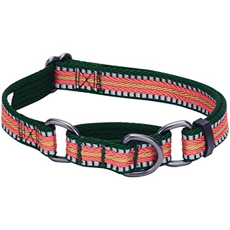 Blueberry Pet Multi-Colored Stripe Collection - 3M Reflective Regular, Martingale Collars for Dogs