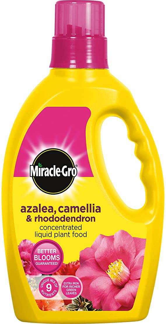 Miracle-Gro 1 Litre Azalea, Camellia and Rhododendron Liquid Plant Food