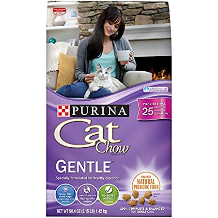 Purina Cat Chow Sensitive Stomach Dry Cat Food; Gentle - 3.15 lb. Bag